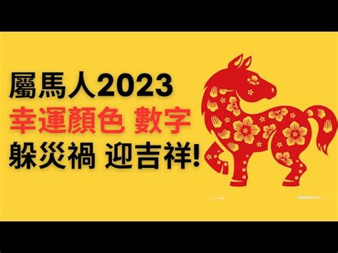 屬馬幸運數字|【屬馬幸運數字】速速收藏！屬馬的專屬好運指南：幸運數字、顏。